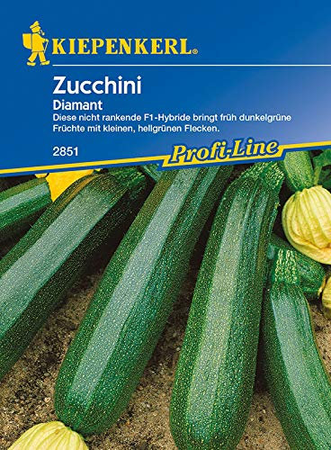 Kiepenkerl 2854 Zucchini Diamant F1 Hybride (Zucchinisamen)