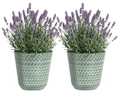 SG Traders Nantucket Plant Pot - Flower Planters Outdoor, Large Garden Plant Pots Elegant Design, Versatile Pots and Planters for Your Outdoor, Enhance Your Garden with Planters (Pack of 2)