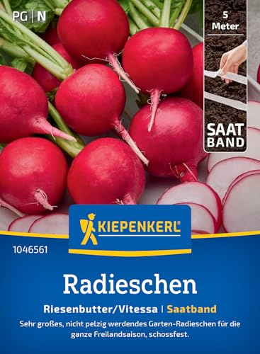 Kiepenkerl Radieschensamen Riesenbutter/Vitessa 1046561, Gemüsesaat | Große, mild-würzige Knollen, Gemüsesamen im praktischen Saatband, schossfest, für Beet, Hochbeet & Freiland