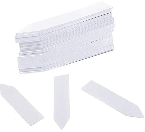 Qiorange 500Stk. Mini Plastik Pflanzenstecker Stecketiketten Beschriften Pflanzschilder Schilder 10CM * 2CM Sind Praktisch für Alle Gärtner (500 Pcs Weiß Type A)