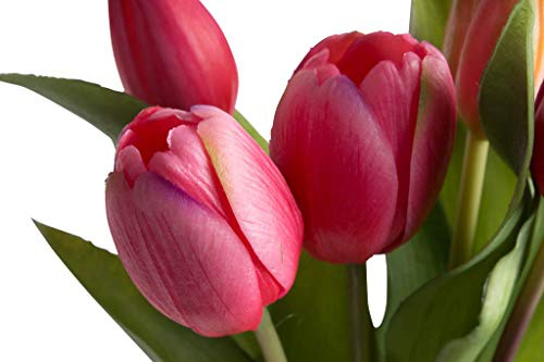 Nova-Nature künstliches Tulpenbündel Sally mit 4 Tulpen und 3 Tulpenknospen real Touch (Beauty)