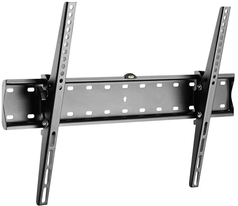 RICOO TV Wandhalterung Fernseher Halterung neigbar N2164 Fernsehhalterung Wand für 40-75 Zoll universal Slim smart flach OLED Curved Wandhalter bis 40 kg VESA 600 x 400