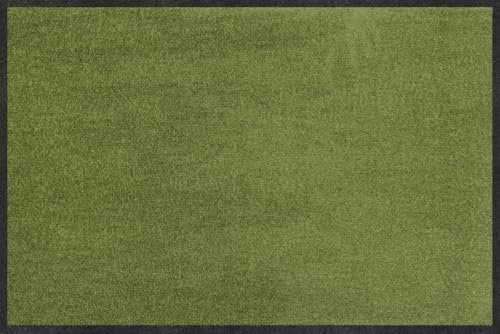Salonloewe Fussmatte Salbei I Schmutzfangmatte & Fußabtreter für Innen 40 x 60 cm