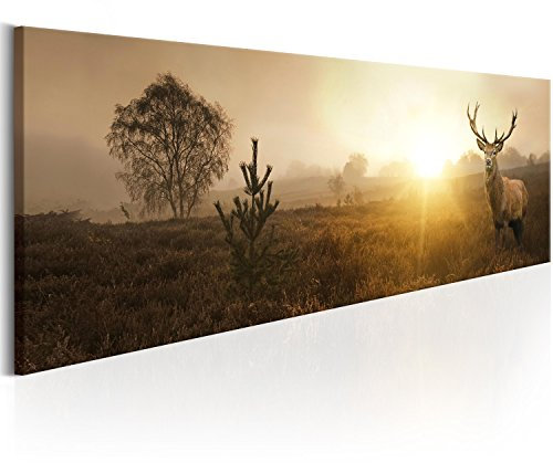 murando HandArt Bilder auf Leinwand Hirsch 1 tlg Leinwandbild Wandbilder Wohnzimmer Wanddekoration Moderne Kunst - Natur Landschaft Tier g-B-0050-b-b