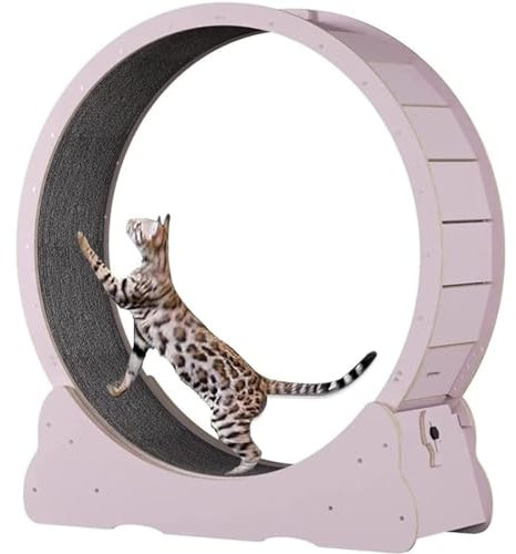 großes Katzen-Laufrad für Indoor-Katzen, Laufband zum Kratzen mit natürlicher Holzfarbe, Laufrad, Kratzbaum Karton für Katzenunterhaltung,Pink-S