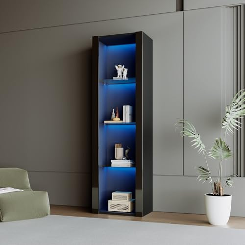 FOERPL Vetrina espositrice per collezioni con luci LED, 4 piani 166 x 55 x 38 cm, vetrina in vetro, ripiani mobili, armadio a libri (B, nero)