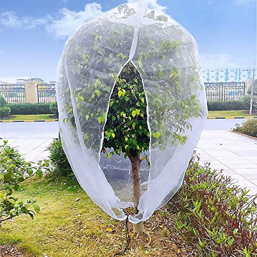 LHongL 8.2x8.2ft Large Fruit Tree Netting Bags,Bird Netting for Blueberry Bushes with Zipper and Drawstring,Garden Netting from Squirrels and Birds Other Animals for Cherry Apple Tree (8.2x8.2ft)