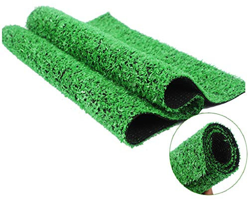 Pelouse Artificielle de Simulation de Tapis de Sports de Plein air, Faux Gazon en Plastique Artificiel d'isolation Thermique (2x10m)