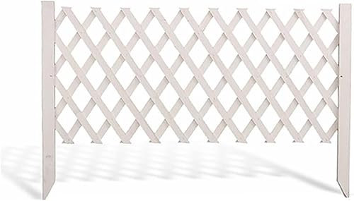 Clôture extensible en osier avec treillis pour plantes grimpantes et