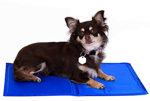 lionto Kühlmatte für Hunde & Katzen, selbstkühlende Haustiermatte sorgt für Erfrischung an warmen Tagen, 50x40 cm, Faltbare Kühldecke ohne Strom, Kühlung durch Körperkontakt, leichte Reinigung, blau