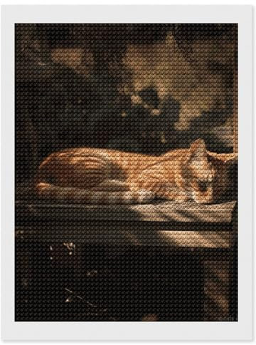 RTFGHJS Diamant-Malset mit orangefarbener Katze, zum Selbermachen, Leinwand-Kunst-Dekor mit Bohrstift, Tablett und Wachs, wasserfest, funkelnde Wandkunst, für Heimdekoration, Geburtstage, Weihnachten