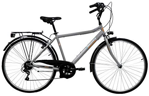 Discovery Denver Herren Trekkingrad Manhattan Herrenfahrrad (28 Zoll), Shimano 6 Gänge, Farbe Silber Metall