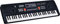 REIG - Electronic Organ 61 Keys Multifunction, Black (8922), Assorted Colour/Model