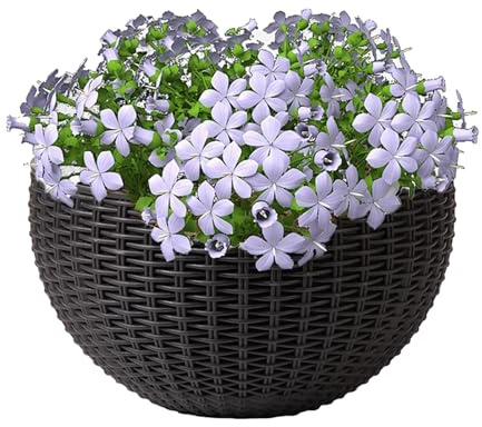 Generisch Wall-Mounted Plant Pot, Imitation Rattan Flower Planter, Modern Semicircular Container, for Fence, Balcony, Garden, Apartment, Patio, Indoor Outdoor Farmhouse Decor