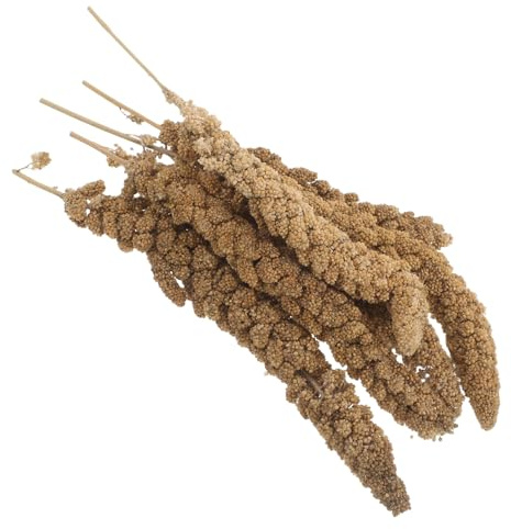 Mikikit Snack di Miglio Essiccato per Uccelli Domestici 500g, Dolcetti Naturali per Parrocchetti, Calopsitte e Pappagallini, Spuntino Nutriente per Addestramento e Arricchimento