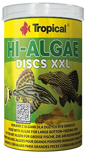 Hi-Algae Discs XXL 1000ml / 500g - Nourriture avec algues pour Grands Poissons mangent dans Le Fond