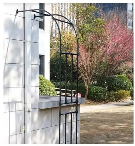 Arche de pergola de jardin en métal pour plantes grimpantes - Treillis résistant aux intempéries - Disponible en noir de 1,8 m à 3 m - Parfait pour les fleurs et les vignes.