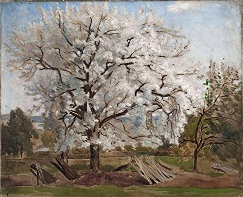 Leinwanddruck Und Poster Wand-Kunst Bild Reproduktion Apfelbaum in Blüte Carl Fredrik Hill für Wohnkultur 60x90cm