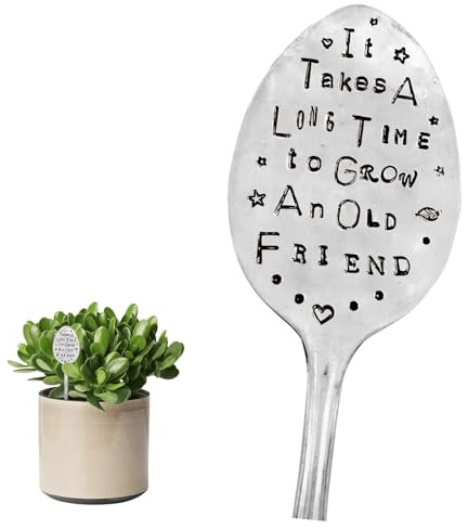 GWAWG 1PCS Garden Marker Friendship Gift, Silver Stamped Spoon Plant Markers, Funny Humor Plant Label Gift, Creative Plant Markers Spoon for Plants, Herbs or Flowers (It Takes A Long Time to Grow)