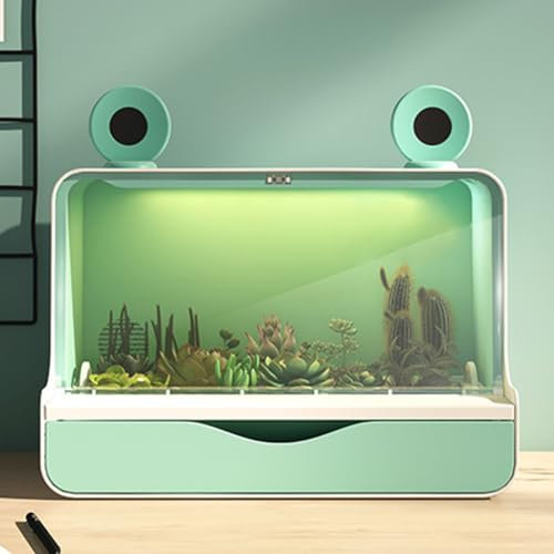 QUTBAG Macetero Inteligente para suculentas, macetero de Interior con luz LED de Crecimiento y Ventilador, Maceta pequeña de Cactus para decoración de Interiores y Exteriores, hogar, jardín, Cocina A
