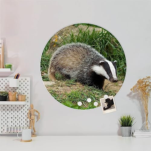 banjado Magnettafel Ø 47cm Weiß - Magnetwand aus Metall - Magnetpinnwand als Memoboard - Pinnwand Magnettafel Küche, Büro, Kinderzimmer inkl. 4 Magnete & Montageset - Dachs