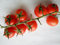 SEMI POMODORO CILIEGINO DI PACHINO