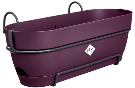 elho Vibia Campana balkonkasten allin1 50cm Pflanztöpfe - Ahorn Lila | L 26 x B 50.4 x H 17.7 cm | Integrierter Untersetzer