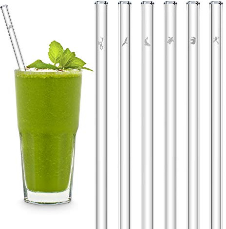 HALM Glas-Strohhalme - Earth Day Edition - Tierarten Set - Besonderes Geschenk - 6 Stück gerade 20 cm mit Gravur - wiederverwendbare Glastrinkhalme - Glasstrohalme