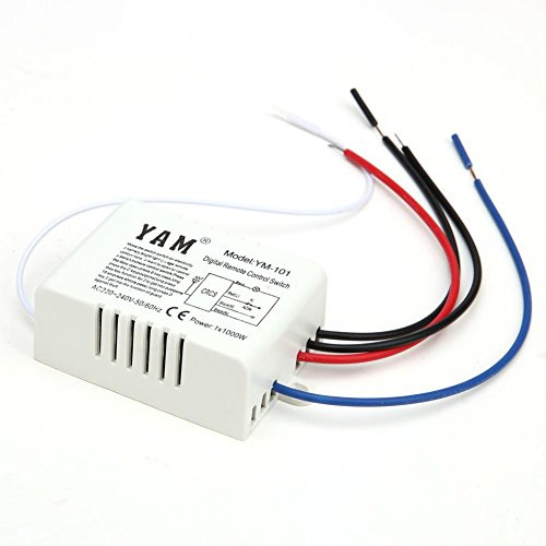 WANGQI Interrupteur sans fil - Interrupteur mural sans fil On/Off - 220 V - Lampe à distance - Récepteur