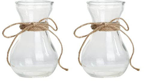 Happyyami Transparente Glasvasen Praktische Kreative Blumengefäße für Hydrokulturpflanzen 2 Stück mit Flachem Boden für Innen und Außenbereich Dekoration