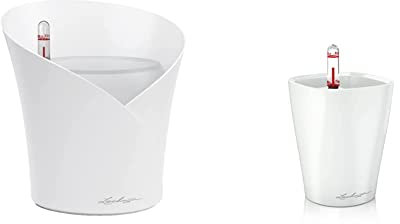 Lechuza ORCHIDEA All-in-One Orchideentopf & 14950 Mini-DELTINI Tischgefäß, Hochwertiger Kunststoff, Herausnehmbarer Pflanzeinsatz, Für Innenraumbegrünung geeignet, weiß Hochglanz