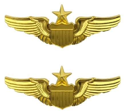 HAICN Lot de 2 épingles en métal avec ailes d'aviateur - Doré - Accessoire pour décoration de costume de pilote, taille unique, Métal