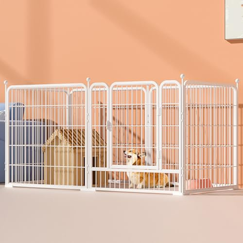 RUYICZB 6-TLG Welpenauslauf Faltbares Freilaufgehege Tierlaufstall, Automatische Verriegelung, Laufgitter Welpenlaufstall Mit Tür Für Hunde, Kaninchen, Kleintiere, Katze,Weiß,160 * 80 * 80cm