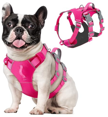 Eyein Escape Proof Dog Harness, No Pull Dog Harness with Front Clip | Lightweight Durable, No Choke Lifting Harness with Chest Belly Support, Adjustment Buckles for Small Medium Large Breeds, M