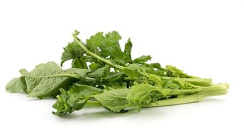 La zappa Semi di cima di Rapa piante per orto e giardino (Di marzo cima grossa)