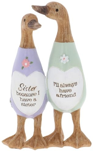 Shudehill Giftware Daisy Message Cute Resin Wooden look Duck Ornament - Mum, Nan, Friends, Family and More Sentimental Messages, Gift Ideas For Her (Sister)
