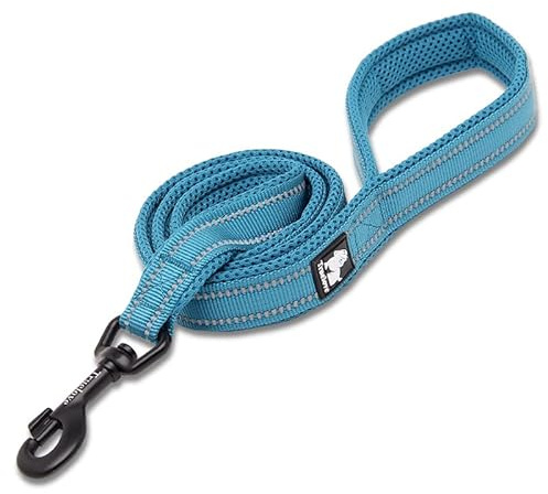 TRUE LOVE Dog Leash Puppy Walking Lead Pet Chain Padded Reflective Night Safe Rope Length 110cm TLL2111(Blue,M)