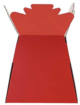 Floralcraft Pearlised Red Hand-Tied Living Vase Florist Bouquet Box, Presentation/Transporter Box/Flower Plant Aqua Boxes, (Pack of 10)