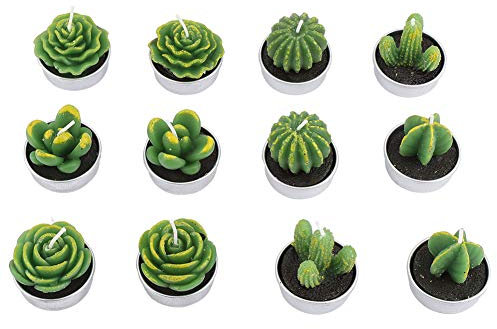Glomora Lindas Velas Candelita De Cactus, Luces De Té Decorativas Suculentas Sin Llama para Celebraciones, Adorno para El Hogar, Idea, Paquete De 12