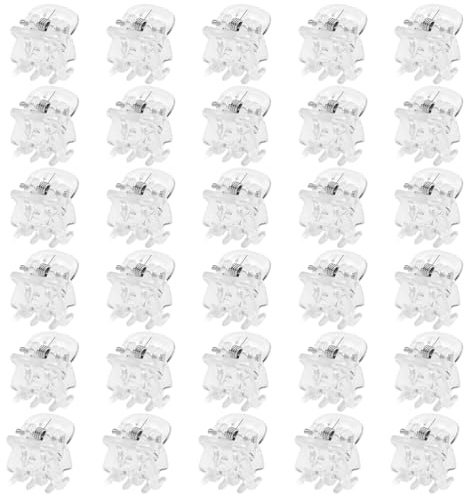 JchEnye 30 - Stück Set Transparente Mini - Haarklauen, 1.5 cm Kleine Maulwurfs - Haarspangen, für Frauen & Mädchen, Rutschfeste kleine Haaraccessoires