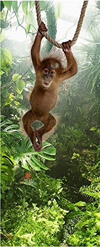 A.Monamour Sticker Porte Autocollant Poster De Porte 3D Adorable Bébé Orang-Outan De Sumatra Suspendu À Une Corde Dans La Forêt Tropicale Vinyle Affiche De Porte Sticker Mural Papier Peint 77 x 200 cm
