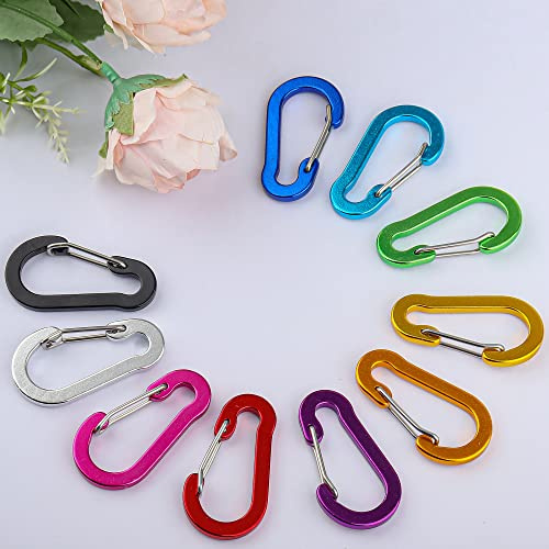 Nanaborn 10 Stück Karabiner Klein Karabinerhaken D Carabiner Aluminium