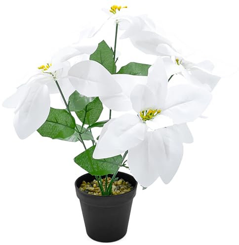 Stephans Möbelbörse Weihnachtsstern Poinsettie künstlich im Topf Christstern täuschend echte Kunstblume Weihnachtsstern Weihnachten Deko Pflanze 35cm weiß