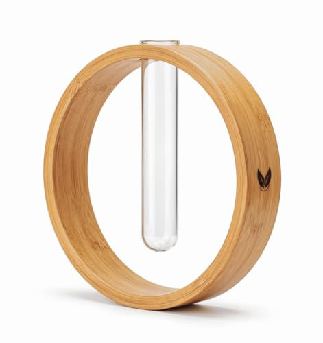 YGDRA Glasvase mit Bambusrahmen – Moderne Propagationsstation für Pflanzen & Hydroponik, Minimalistische Vase aus Bambus & Glas, als Deko Wohnaccessoire & stilvolle Geschenkidee (Rund) | Für Ableger, Stecklinge, Avocado & Monstera, Boho Skandi Deko, ideal als Geschenk für Pflanzenliebhaber