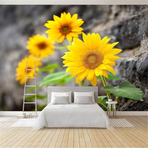 Papel Pintado Tejido No Tejido 300 x 210 cm (An x Al), Amarillo Fotomurales - Naturaleza Flores Muro De Piedra Girasoles Decoración de Pared con Murales Decorativos