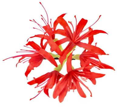 Lycoris Radiata – Pinces à cheveux en forme de fleur de lys araignée rouge pour femmes et filles – 12 cm – Accessoires de cheveux tropicaux pour mariage, hawaïen, fête sur la plage
