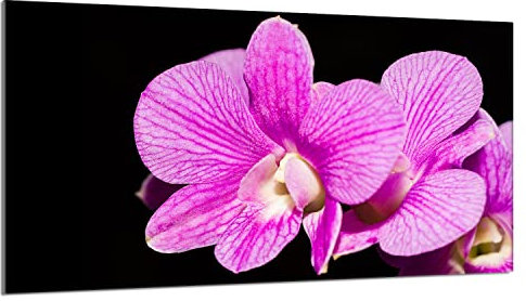 Herdabdeckplatte 90x52 cm 1-teilig Ceranfeldabdeckung Induktion Herdschutz Spritzschutz Glasplatte Deko Schneidebrett, Orchidee Violett
