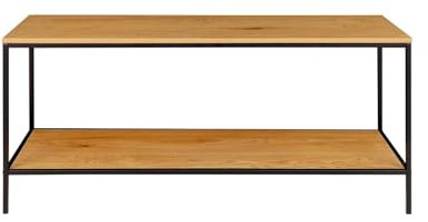 Dezain® - TV-Lowboard Vita aus Metall | TV-Regal mit 2 Ablagen aus Holz | Schlichtes Design | pflegeleichtes Sideboard | TV-Board in Schwarz/Braun | 100 x 45 x 36 cm | TV-Möbel