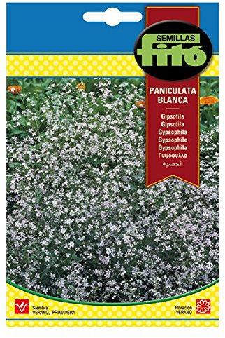 Semillas Fitó 557 - Semillas de Gipsófila Paniculata Blanca