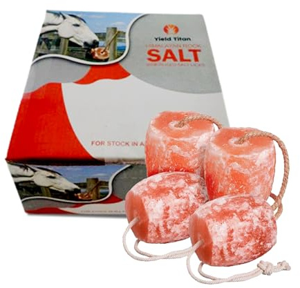 Yield Titan Himalayan Pink Salt 18 LBs, Salt Licks for Animals Licking Block for Horses, Cows, Deer, and Other Livestock - Rope Included (4 Qty)